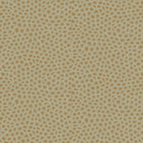 Senzo Spot 109-6029